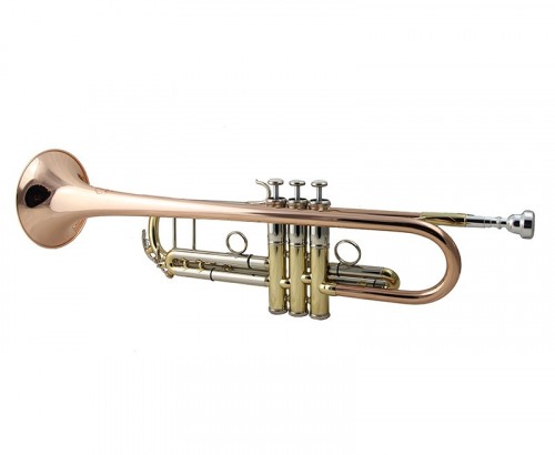 Trompette professionnelle partition pince Instrument Lyre pinces  accessoires pour instruments en laiton 13.6x6.4x1.8cm 